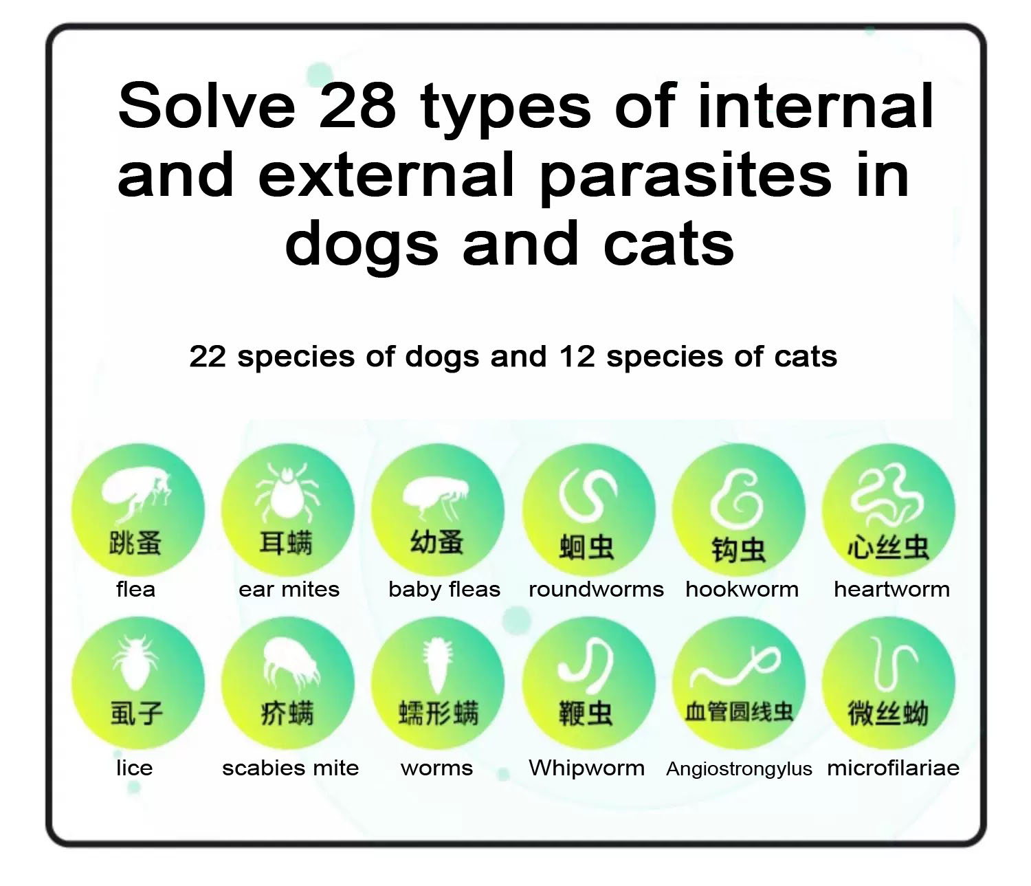 4,0ml Para cães Imidaclopride Spot-on Solutions