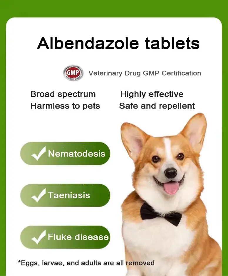 Comprimido de albendazol de 0,2g para animais de estimação