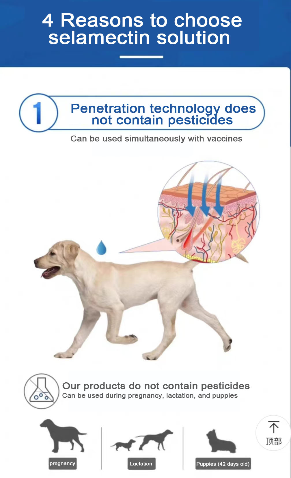 3,0 ml für Hunde Selamectin Solution.jpg