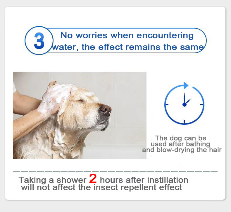 3,0 ml pour chien Solution de sélamectine